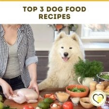 top 3 dog food recipes