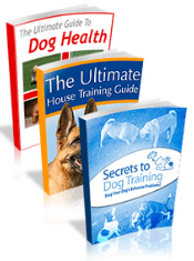 dog-training-multimedia-package-course