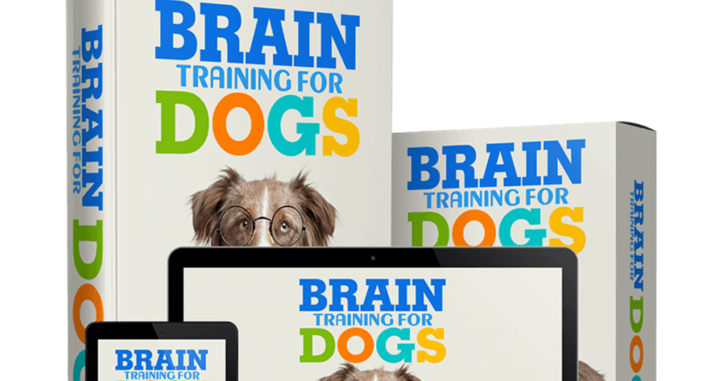brain-training-for-dogs-program